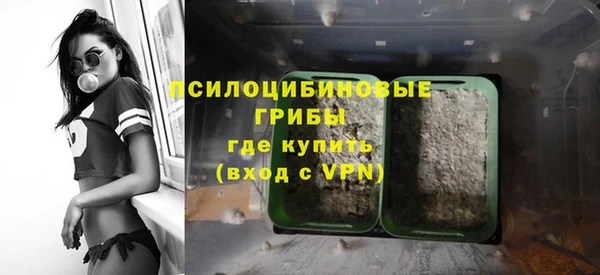 гидропоника Коряжма