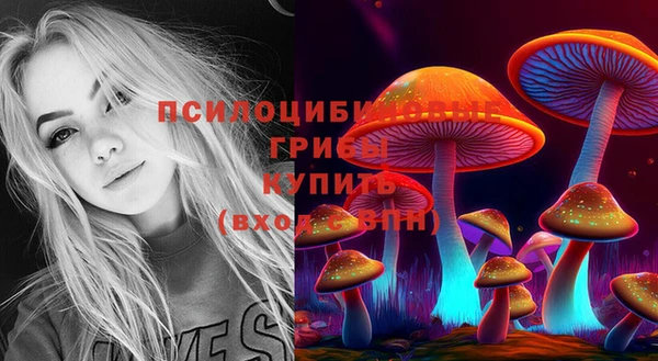 гидропоника Коряжма