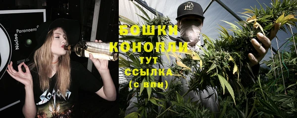 прущий лед Козельск