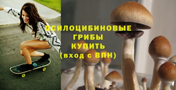 дурь Костерёво