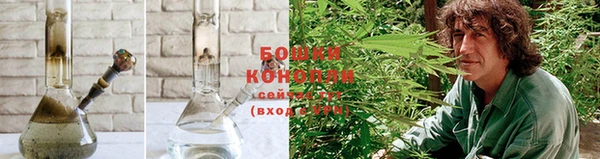 гидропоника Коряжма