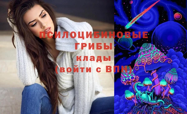 прущий лед Козельск