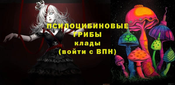 дурь Костерёво