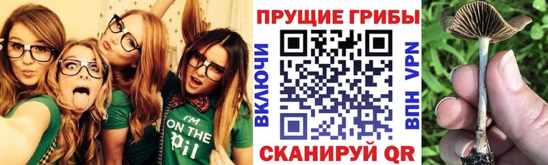 Купить Орехово-Зуево Галлюциногенные грибы мухоморы